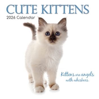 Cute Kittens. 16-Month Square Wall Calendar 2026