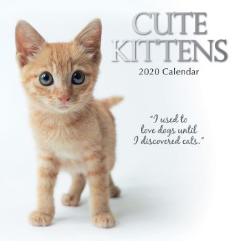 CUTE KITTENS 2020. /стенен календар/