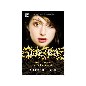 Дарба, книга 3: Днес го имаш, утре го губиш