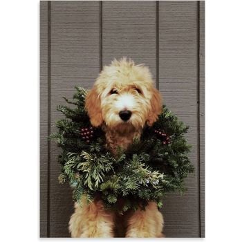 DECK THE PAWS HALF NOTECARDS