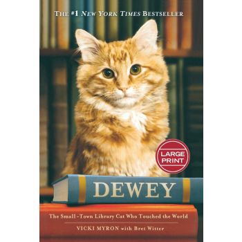 DEWEY : The small-town library-cat who touched the world