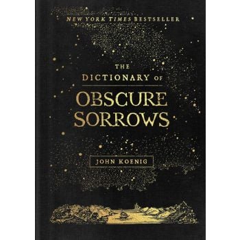 DICTIONARY OF OBSCURE SORROWS