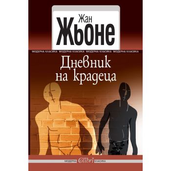 Дневник на крадеца