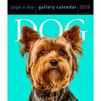 DOG PAGE-A-DAY GALLERY CALENDAR 2020