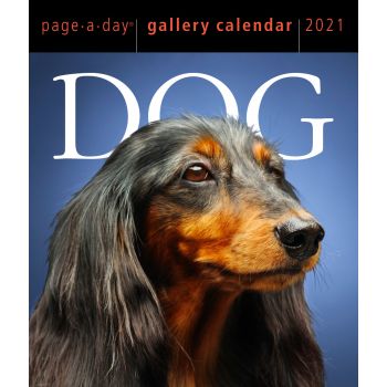 DOG  PAGE-A-DAY GALLERY CALENDAR 2021