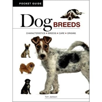 Dog Breeds (mini edition)