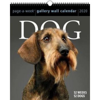 DOG PAGE-A-WEEK GALLERY CALENDAR 2020. /стенен календар/