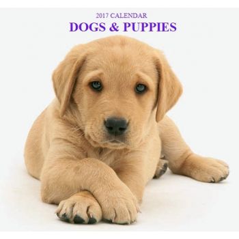 DOGS & PUPPIES 2017. /стенен календар/