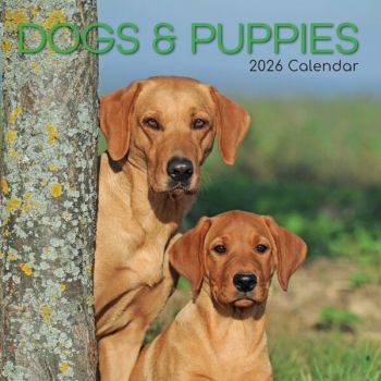 Dogs & Puppies. 16-Month Square Wall Calendar 2026