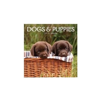 DOGS & PUPPIES 2013. /стенен календар/