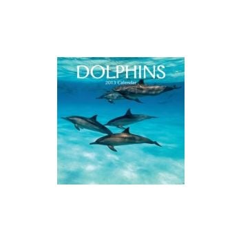 DOLPHINS 2013. /стенен календар/
