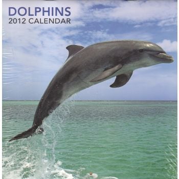 DOLPHINS 2012. /стенен календар/