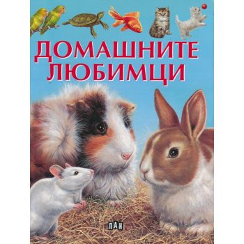 Домашните любимци