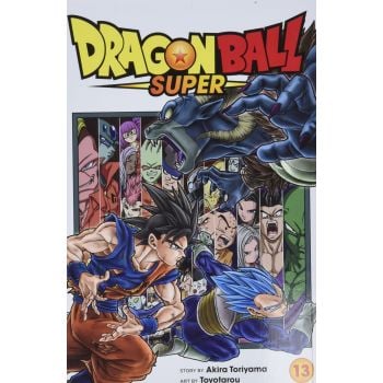 DRAGON BALL SUPER, Volume 13