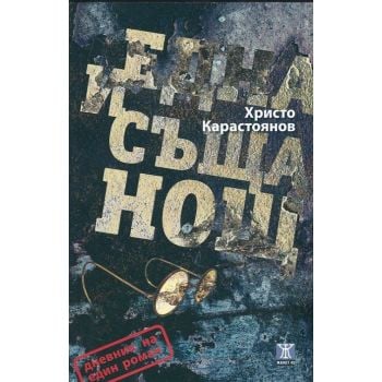 Една и съща нощ. Дневник на един роман