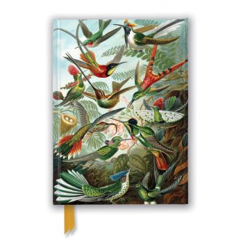 ERNST HAECKEL: HUMMINGBIRDS - Foiled Journal