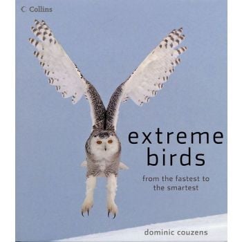 EXTREME BIRDS: From The Fastest To The Smartest