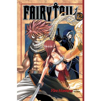 FAIRY TAIL 12