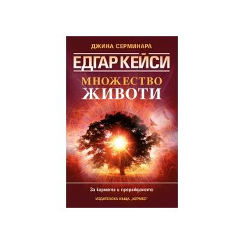 Едгар Кейси: Множество животи