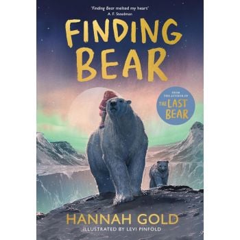 Finding Bear