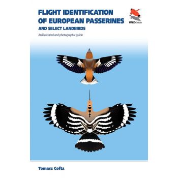 FLIGHT IDENTIFICATION OF EUROPEAN PASSERINES AND SELECT LANDBIRDS