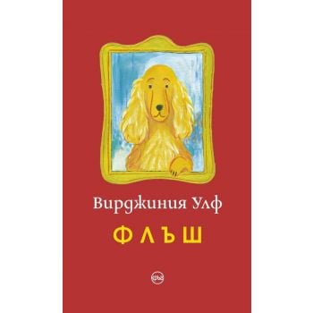 Флъш