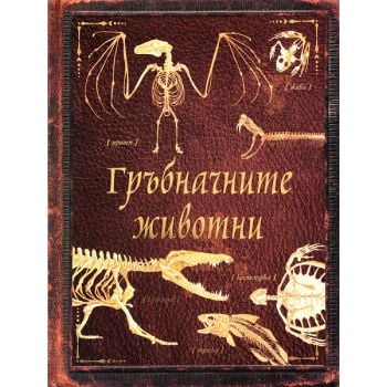 Гръбначните животни
