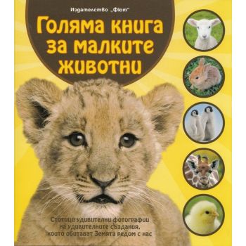 Голяма книга за малките животни
