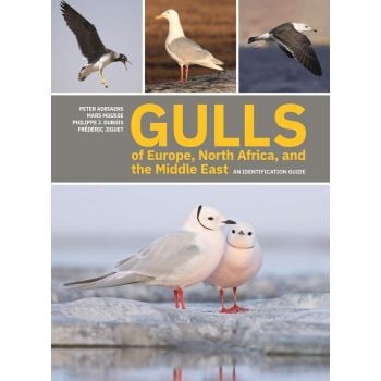 Gulls of Europe, North Africa, and the Middle East