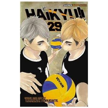 HAIKYU!!, Volume 29