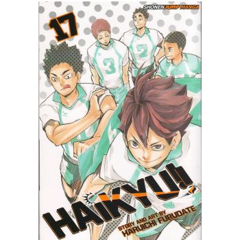 HAIKYU!!, Volume 17
