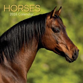 Horses. 16-Month Square Wall Calendar 2026