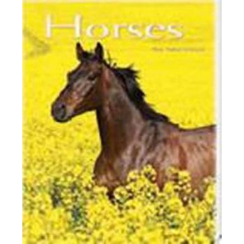 HORSES: POCKET BOOK