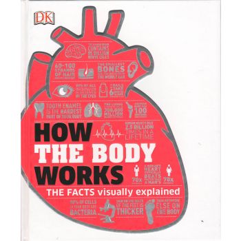 HOW THE BODY WORKS: The Facts Visually Explained