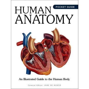 Human Anatomy (Pocket Edition)