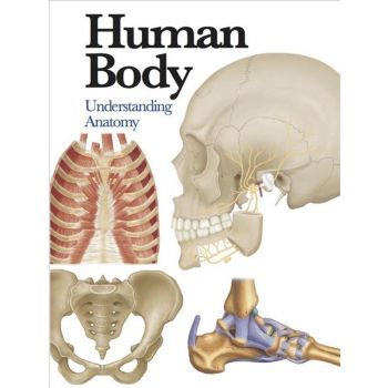 HUMAN BODY: Understanding Anatomy