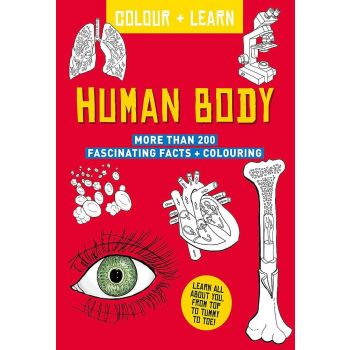 HUMAN BODY. “Colour + Learn“