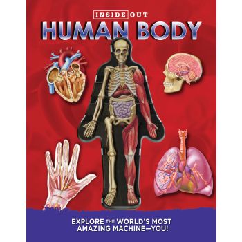 HUMAN BODY. “Inside Out“