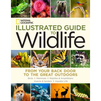 ILLUSTRATED GUIDE TO WILDLIFE
