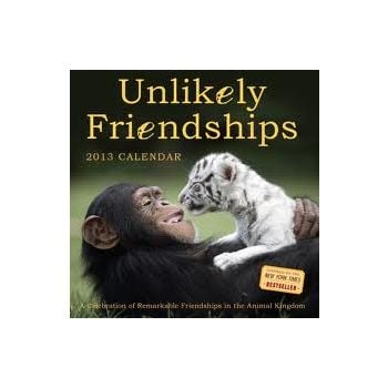 UNLIKELY FRIENDSHIPS 2013. /стенен календар/