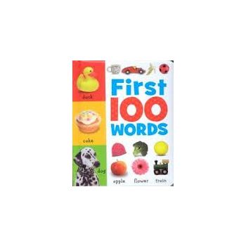 FIRST 100 WORDS: Mini Board Book