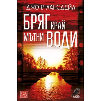 Бряг край мътни води