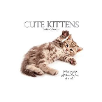CUTE KITTENS 2019. /стенен календар/