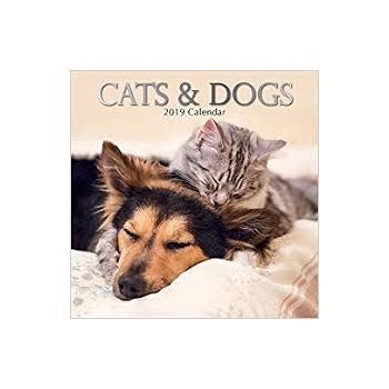 CATS & DOGS 2019. /стенен календар/