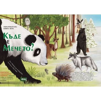 Къде е мечето?: Образователна книга-игра