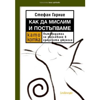 Как да мислим и постъпваме като котка