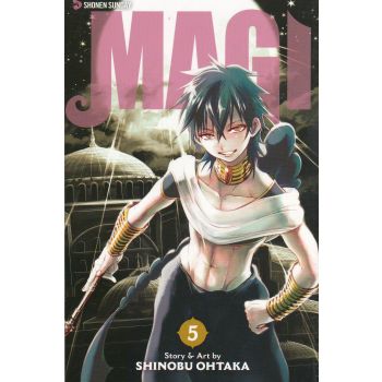 MAGI: The Labyrinth of Magic, Vol. 5