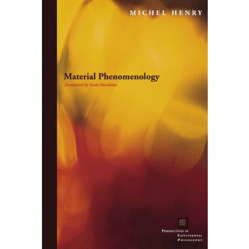 MATERIAL PHENOMENOLOGY