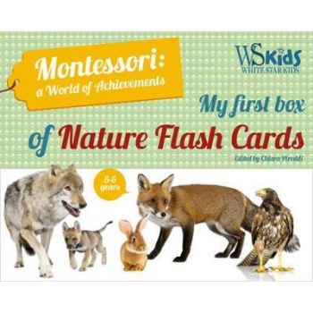 MY FIRST FLASH CARDS BOX: Discovering Forest Animals “Montessori World of Achievements“