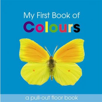 MY FIRST BOOK OF COLOURS